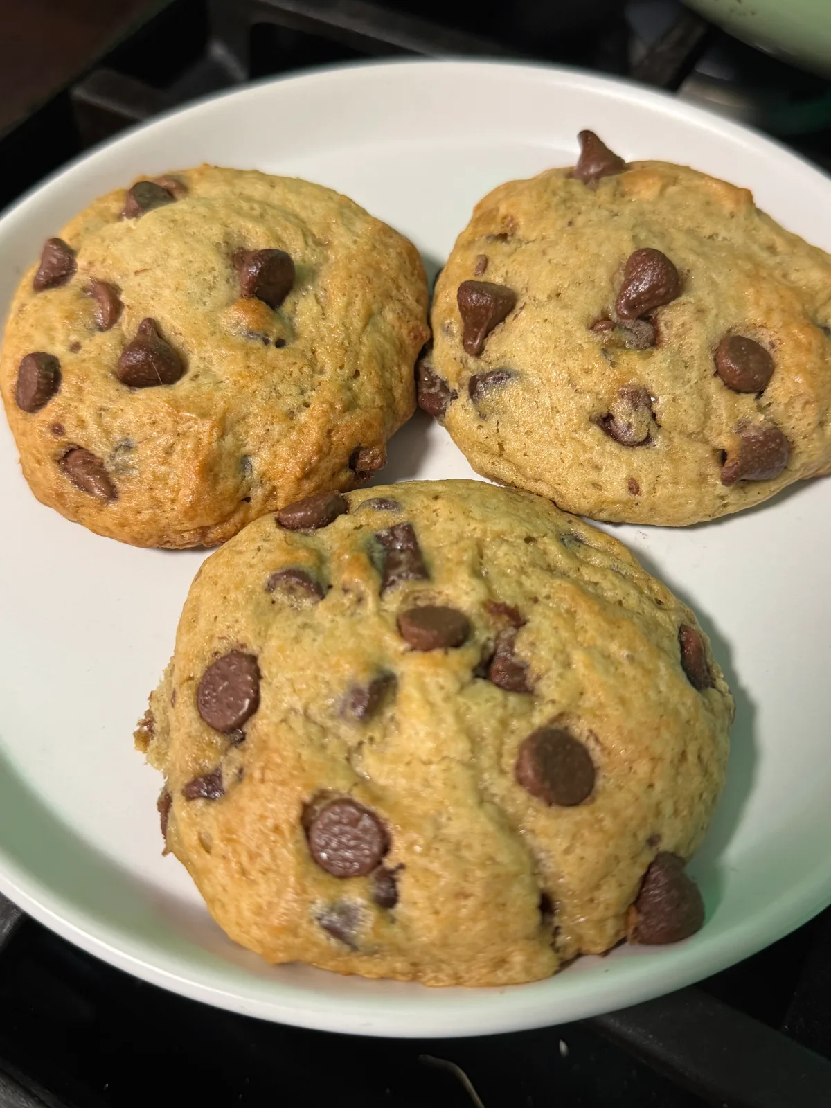 Sourdough banana bread chocolate chip cookies!