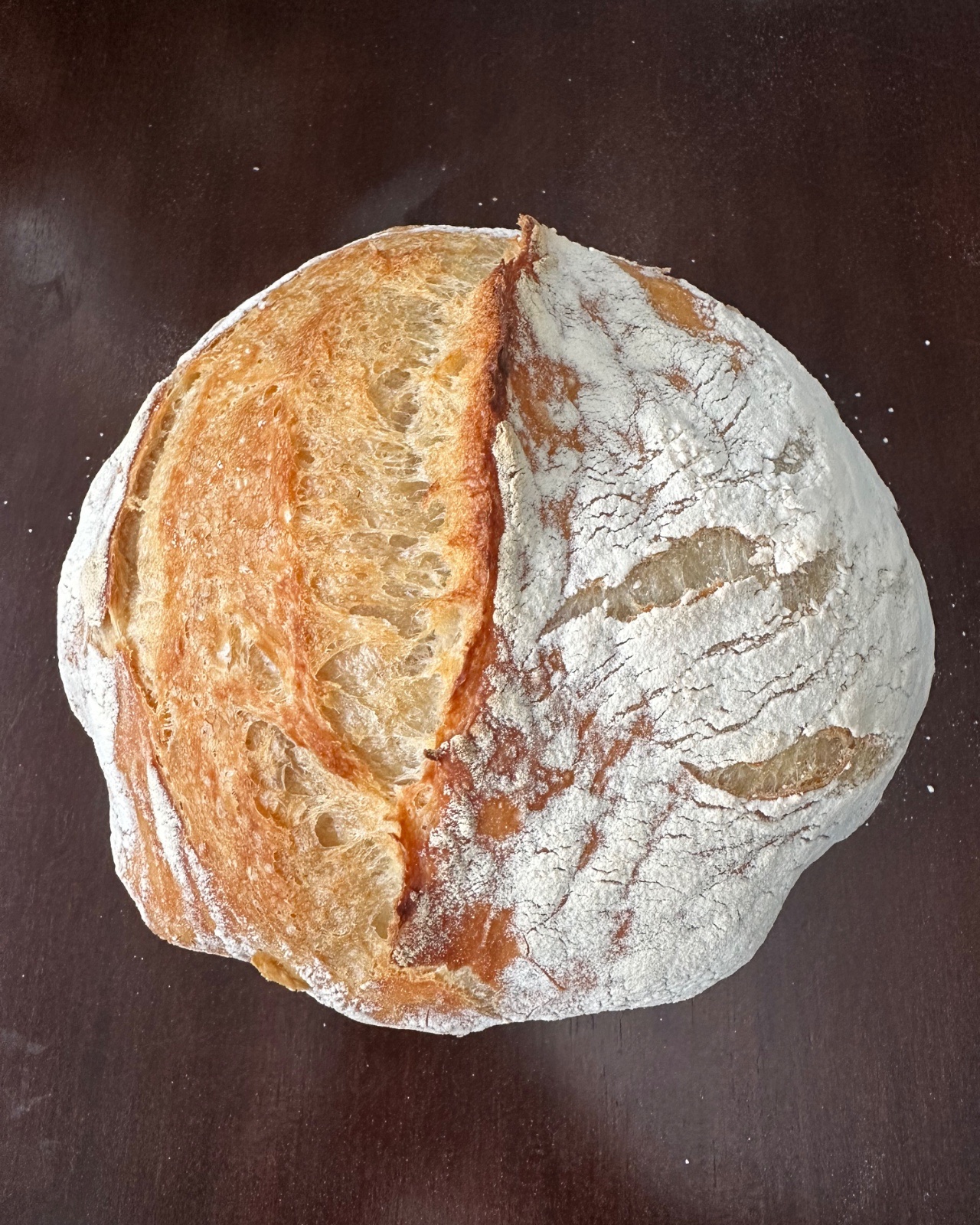 The Basic B-oule