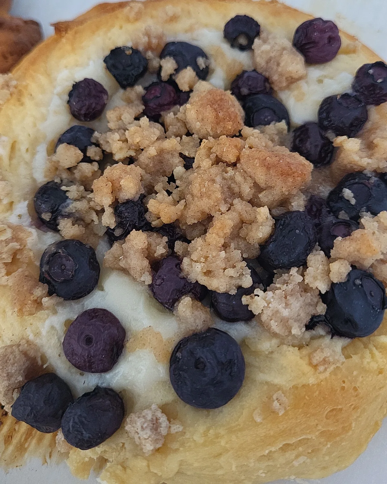 Blueberry and Cheese Brioche Bun