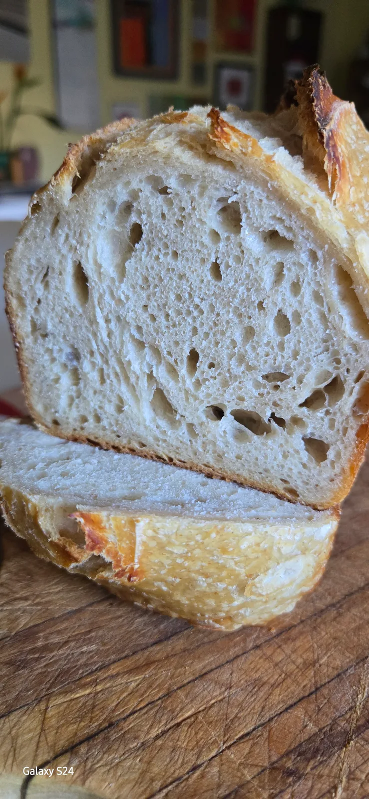 CLASSIC PLAIN SOURDOUGH BREAD