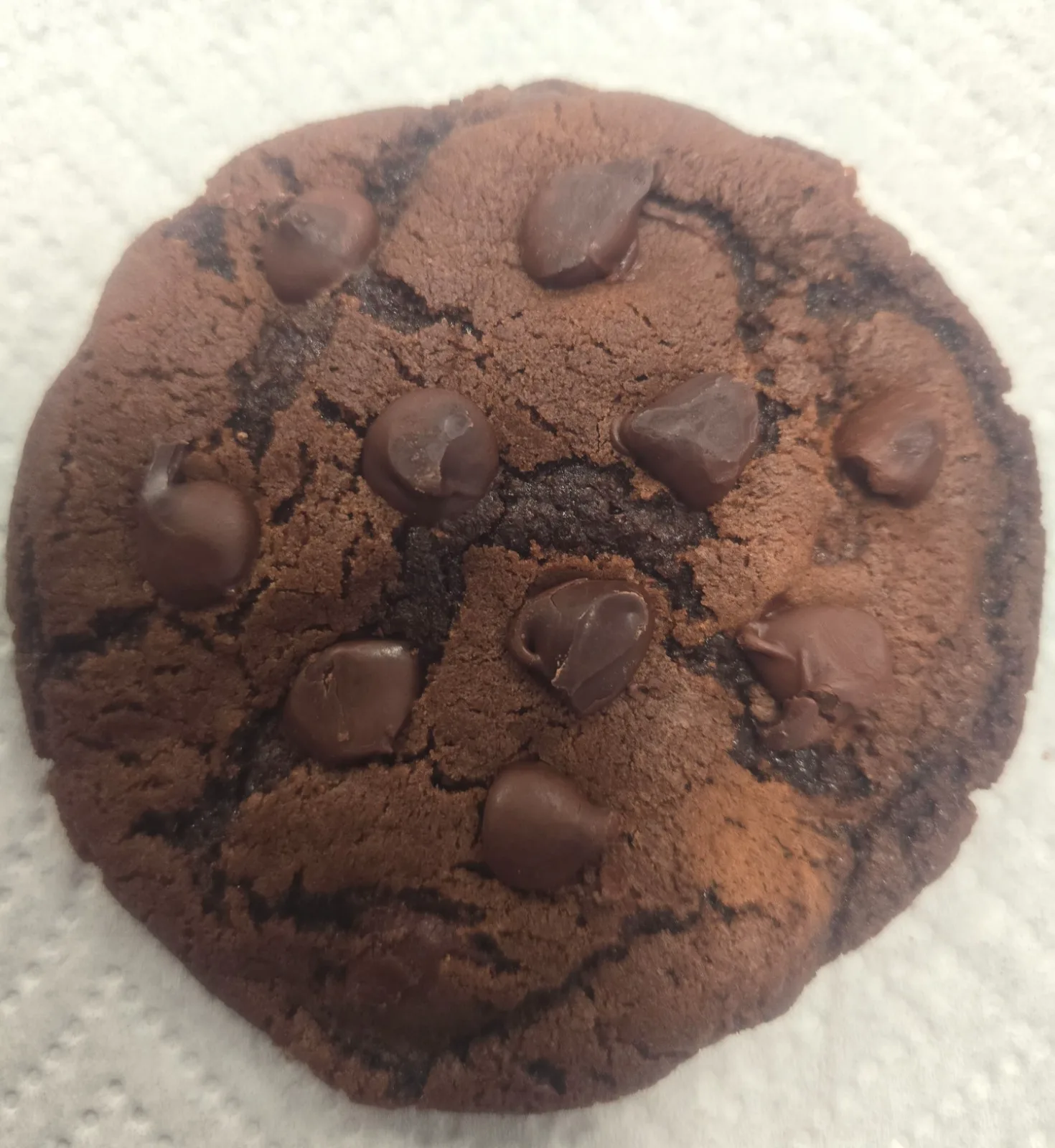 Big Double-Chocolate Hot Cocoa Cookies