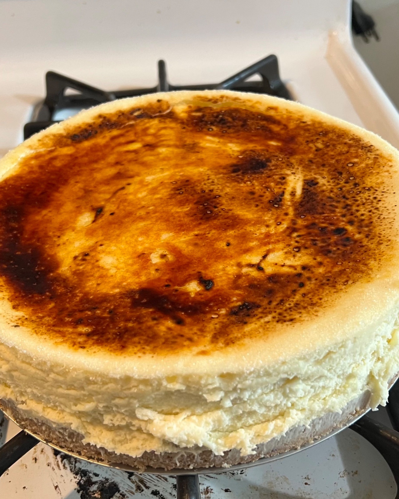 Crème brûlée Cheesecake