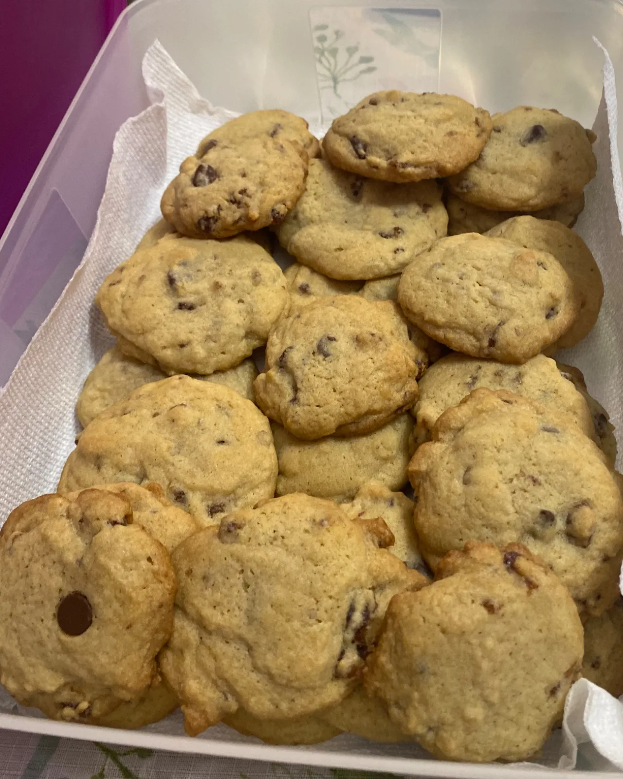 Chocolate chip cookie